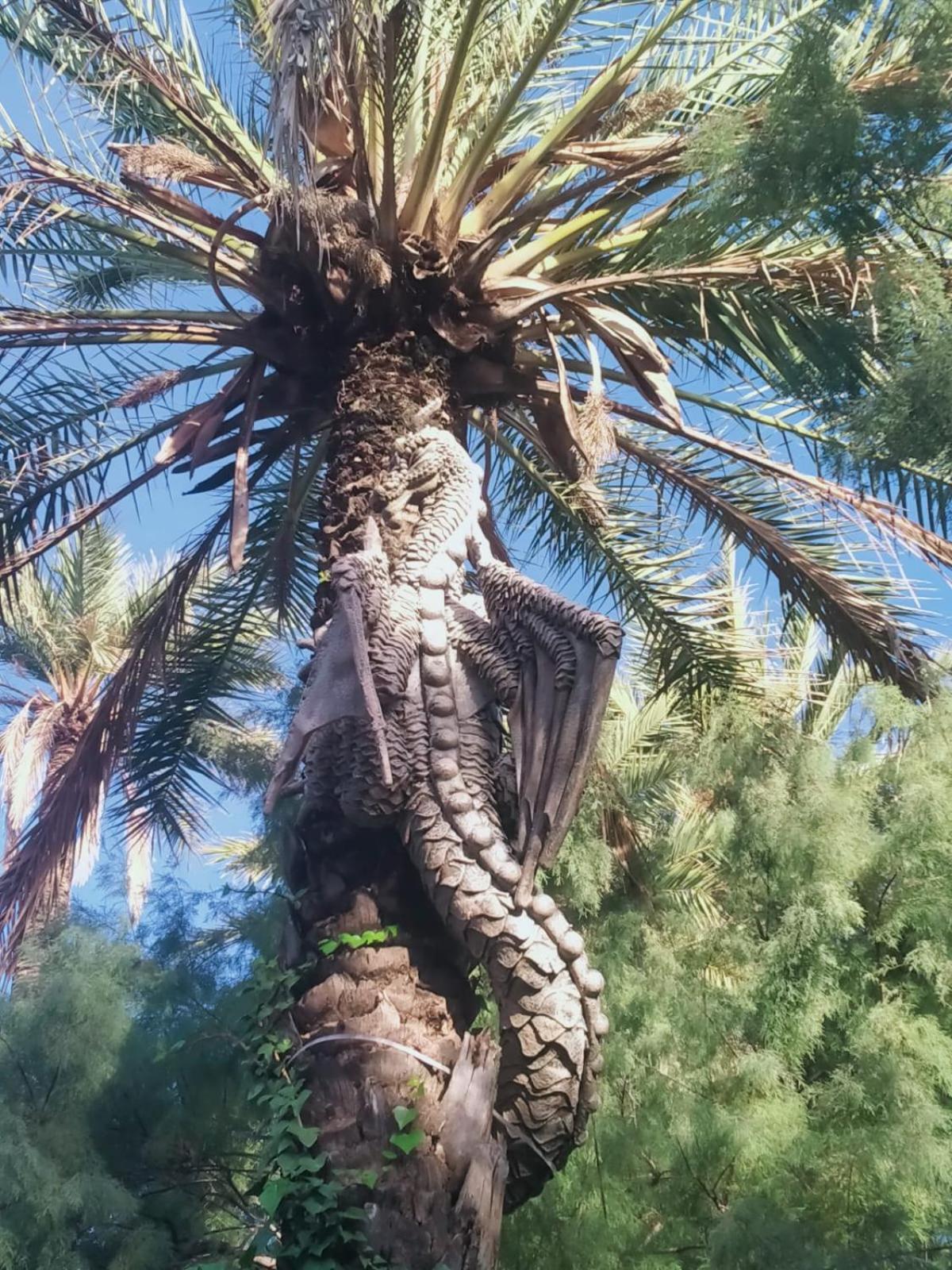 Apartmán Sol De Mar, La Mata La Mata  Exteriér fotografie