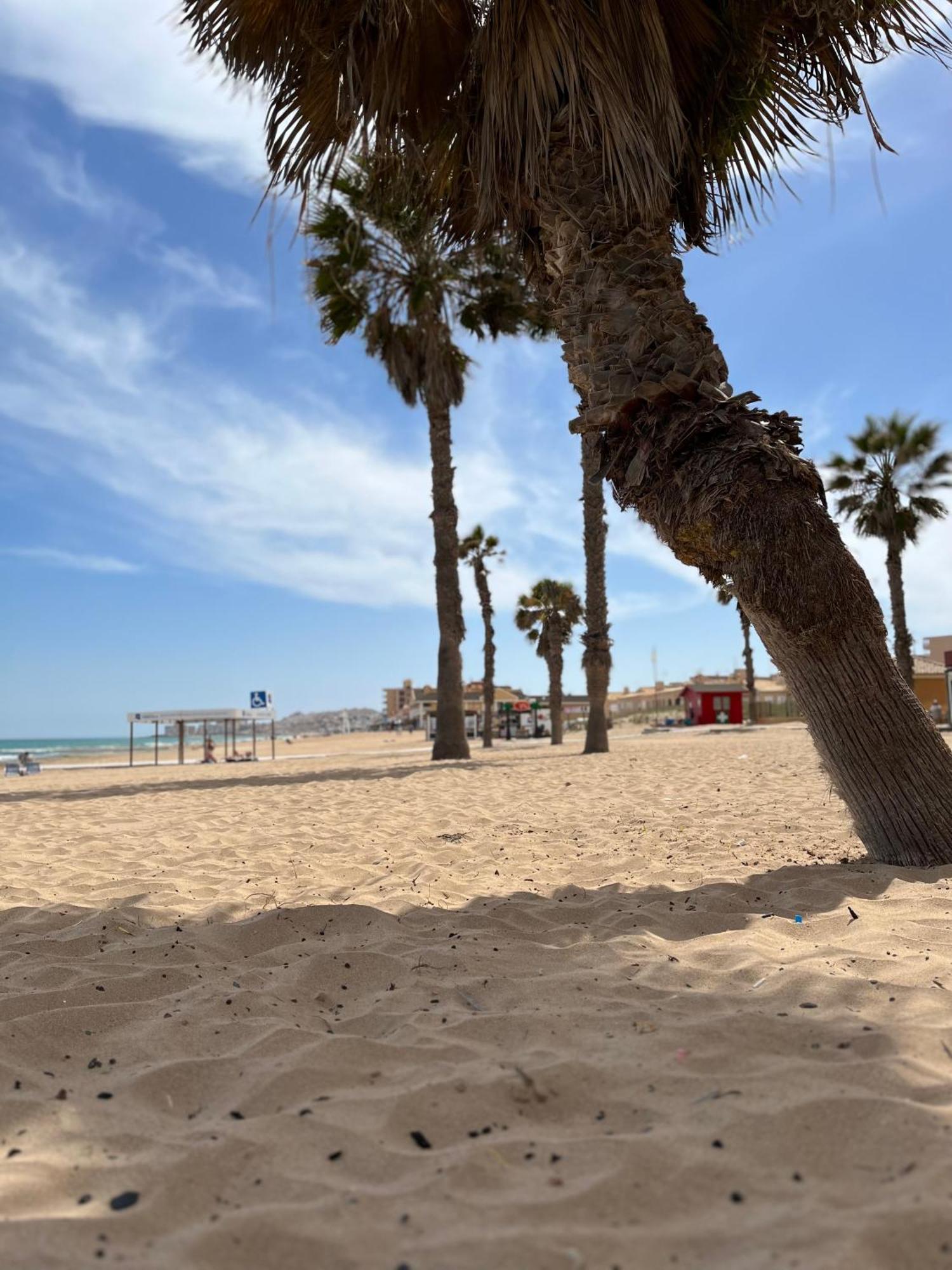 Apartmán Sol De Mar, La Mata La Mata  Exteriér fotografie