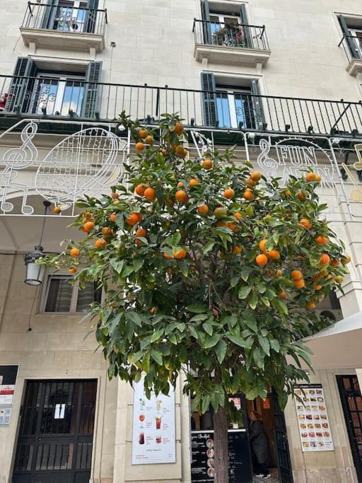 Apartmán Sol De Mar, La Mata La Mata  Exteriér fotografie