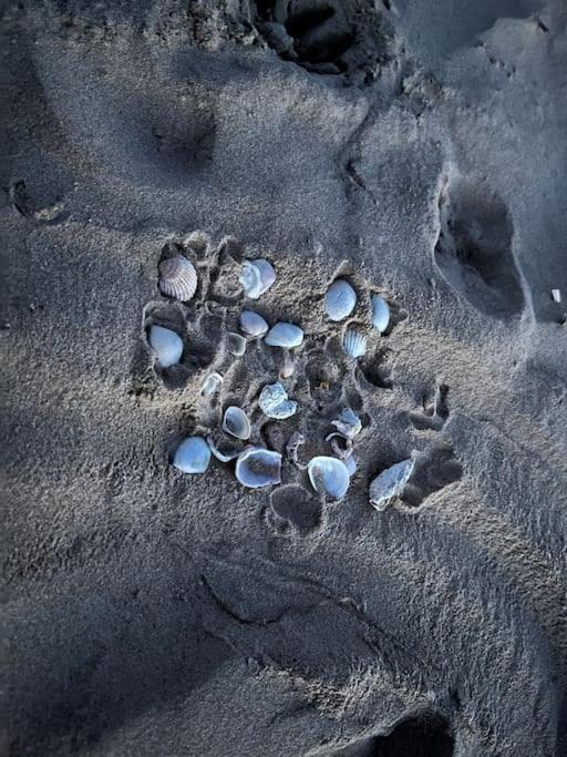 Apartmán Sol De Mar, La Mata La Mata  Exteriér fotografie