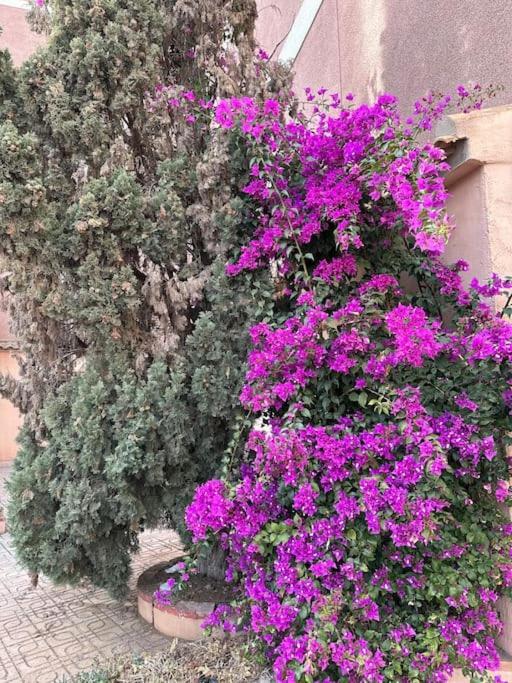 Apartmán Sol De Mar, La Mata La Mata  Exteriér fotografie